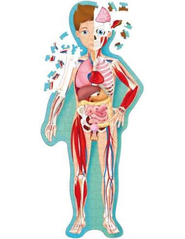 Coffret livre et puzzle Le Corps... Coffret livre et puzzle Le Corps...