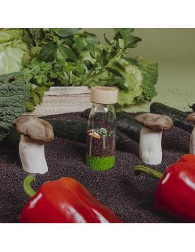 Bouteille sensorielle légumes - Petit... Bouteille sensorielle légumes - Petit...