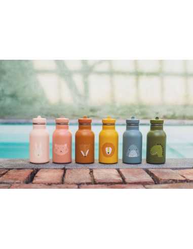 Petite gourde Lion - Trixie Petite gourde Lion - Trixie