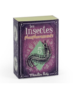 5 insectes phosphorescents...