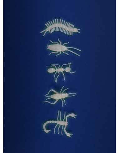 5 insectes phosphorescents - Moulin Roty 5 insectes phosphorescents - Moulin Roty