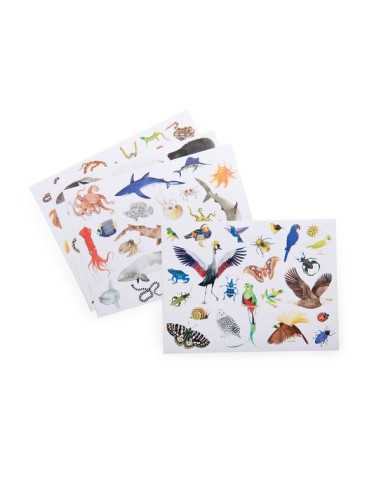 Pochette stickers Tout autour du... Pochette stickers Tout autour du...