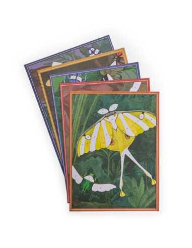 Cartes fantastiques Tout autour du... Cartes fantastiques Tout autour du...