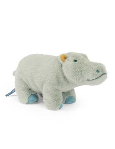 Petit hippopotame Tout autour du...