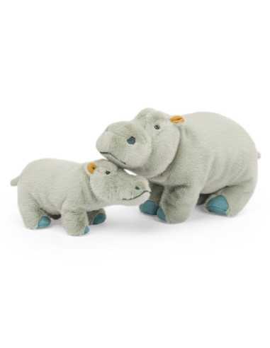 Petit hippopotame Tout autour du... Petit hippopotame Tout autour du...