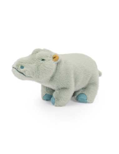 Petit hippopotame Tout autour du... Petit hippopotame Tout autour du...