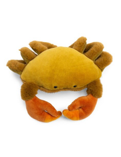 Petit crabe Tout autour du... 2
