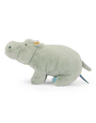 Grand hippopotame Tout autour du... Grand hippopotame Tout autour du...