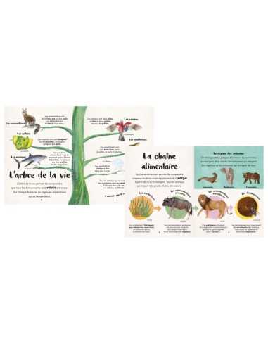 Ma première anthologie des animaux -... Ma première anthologie des animaux -...