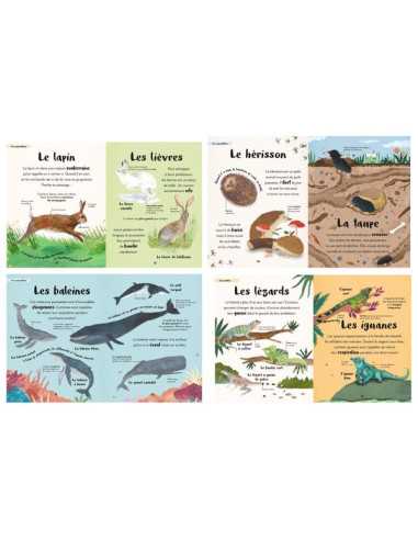 Ma première anthologie des animaux -... Ma première anthologie des animaux -...