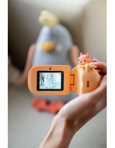 Camera Renard Zoo Video -... 2