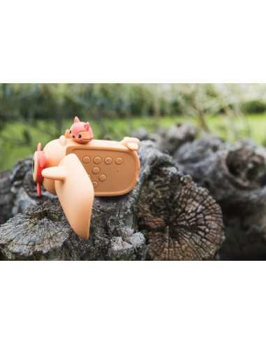 Camera Renard Zoo Video - The Zoofamily Camera Renard Zoo Video - The Zoofamily