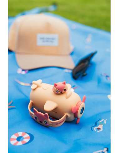 Camera Renard Zoo Video - The Zoofamily Camera Renard Zoo Video - The Zoofamily