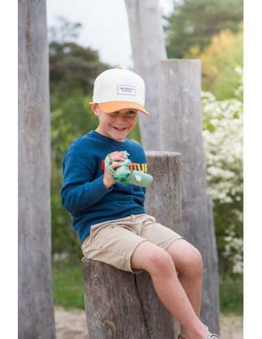 Camera Dinosaure Zoo Video - The... Camera Dinosaure Zoo Video - The...