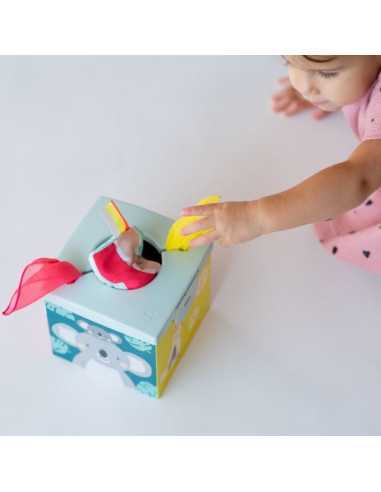 Boîte à lingettes Boîte à lingettes