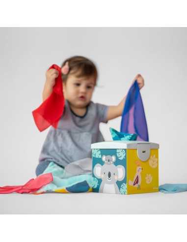 Boîte à lingettes Boîte à lingettes