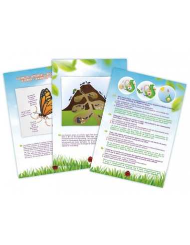 Explorateur d'insectes - Buki Explorateur d'insectes - Buki