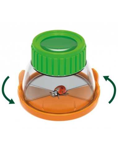 Terrarium - Buki Terrarium - Buki