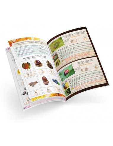 Terrarium - Buki Terrarium - Buki