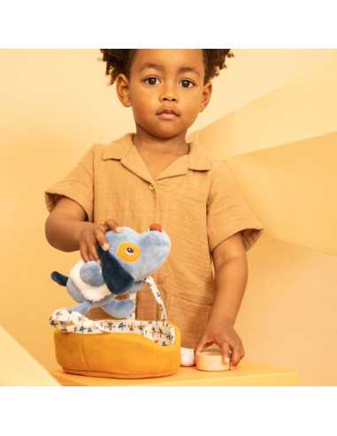 Jules le chien et son panier -... Jules le chien et son panier -...