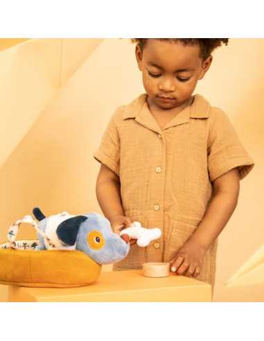 Jules le chien et son panier -... Jules le chien et son panier -...