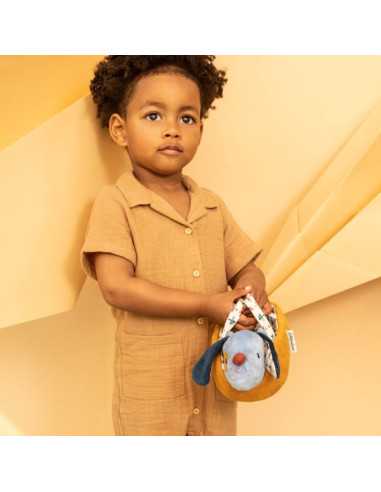 Jules le chien et son panier -... Jules le chien et son panier -...