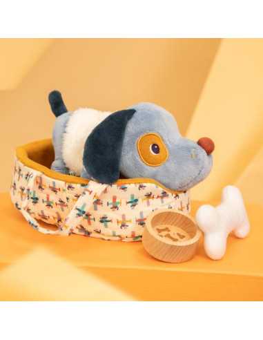 Jules le chien et son panier -... Jules le chien et son panier -...