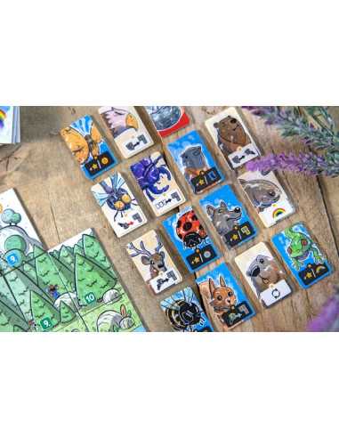 Jeu Solstis Jeu Solstis