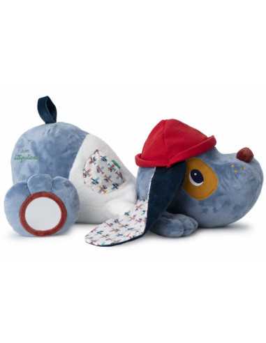 Jules grand chien d'activités -... Jules grand chien d'activités -...