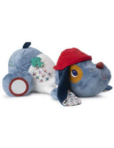 Jules grand chien...