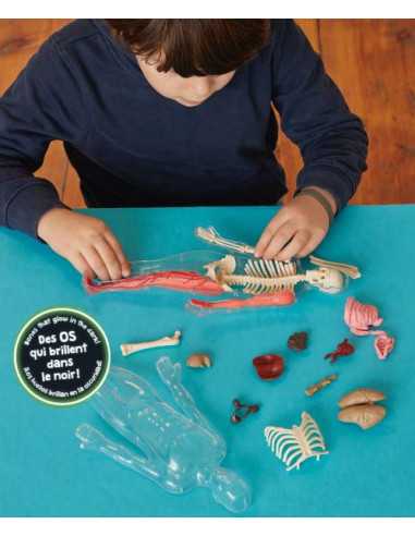 Je découvre le corps humain - Auzou Je découvre le corps humain - Auzou