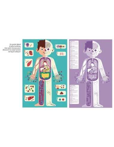 Je découvre le corps humain - Auzou Je découvre le corps humain - Auzou