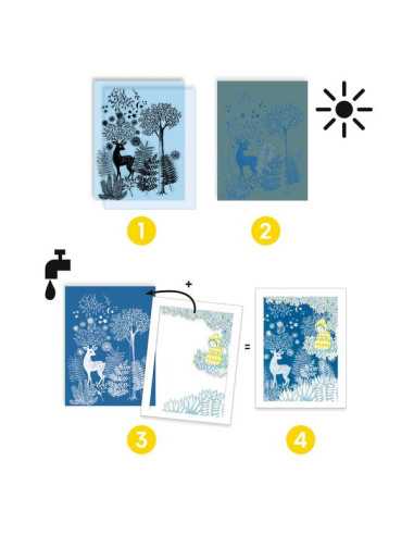 Cyanotype Au clair de la lune - Djeco Cyanotype Au clair de la lune - Djeco