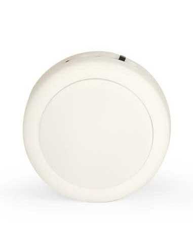 Otarie lumineuse Les aventures de... Otarie lumineuse Les aventures de...