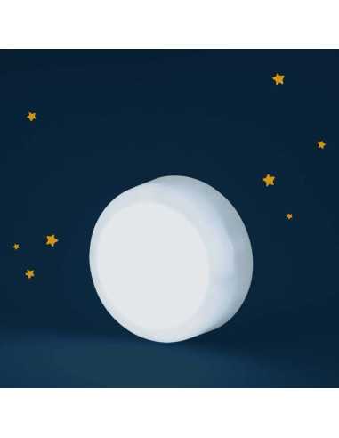 Otarie lumineuse Les aventures de... Otarie lumineuse Les aventures de...