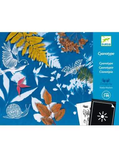 Cyanotype Kit de démarrage - Djeco Cyanotype Kit de démarrage - Djeco