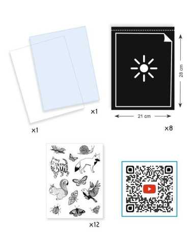 Cyanotype Kit de démarrage - Djeco Cyanotype Kit de démarrage - Djeco