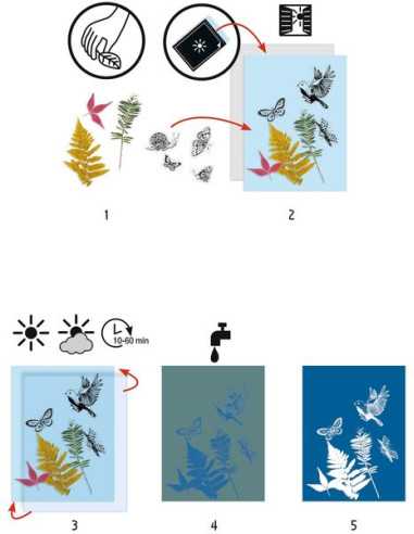 Cyanotype Kit de démarrage - Djeco Cyanotype Kit de démarrage - Djeco