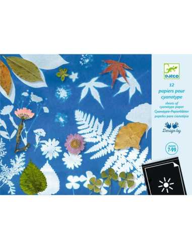 Papier pour Cyanotype - Djeco Papier pour Cyanotype - Djeco
