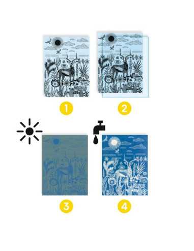 Cyanotype Savane nocturne - Djeco Cyanotype Savane nocturne - Djeco