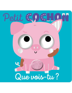 Livre Que vois-tu, petit...