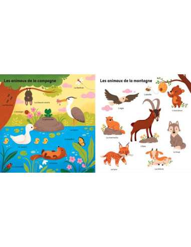 Livre mes 100 mots pour découvrir les... Livre mes 100 mots pour découvrir les...