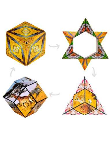 Shashibo Savanna Shashibo Savanna