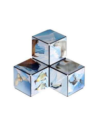 Shashibo Arctic Shashibo Arctic