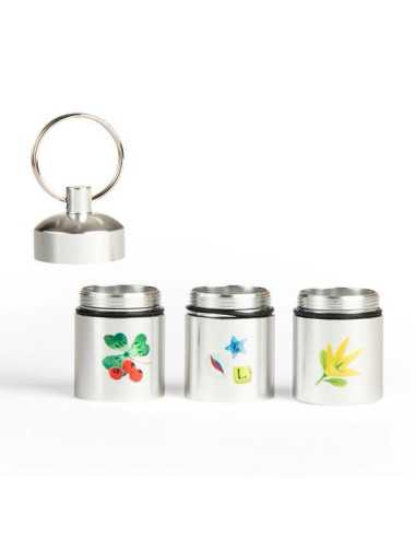 Capsule à trésors Le Jardin du Moulin... Capsule à trésors Le Jardin du Moulin...