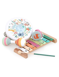 Set de musique les animaux...