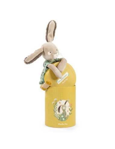 Lapin sauge Trois Petits Lapins -... Lapin sauge Trois Petits Lapins -...
