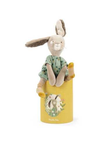 Lapin sauge Trois Petits Lapins -... Lapin sauge Trois Petits Lapins -...