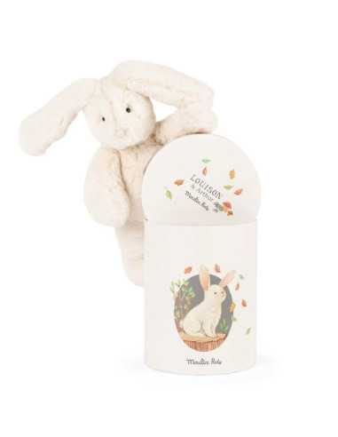 Louison le lapin Arthur et Louison -...
