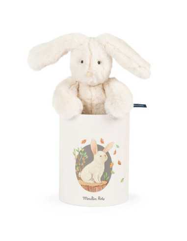 Louison le lapin Arthur et Louison -... Louison le lapin Arthur et Louison -...